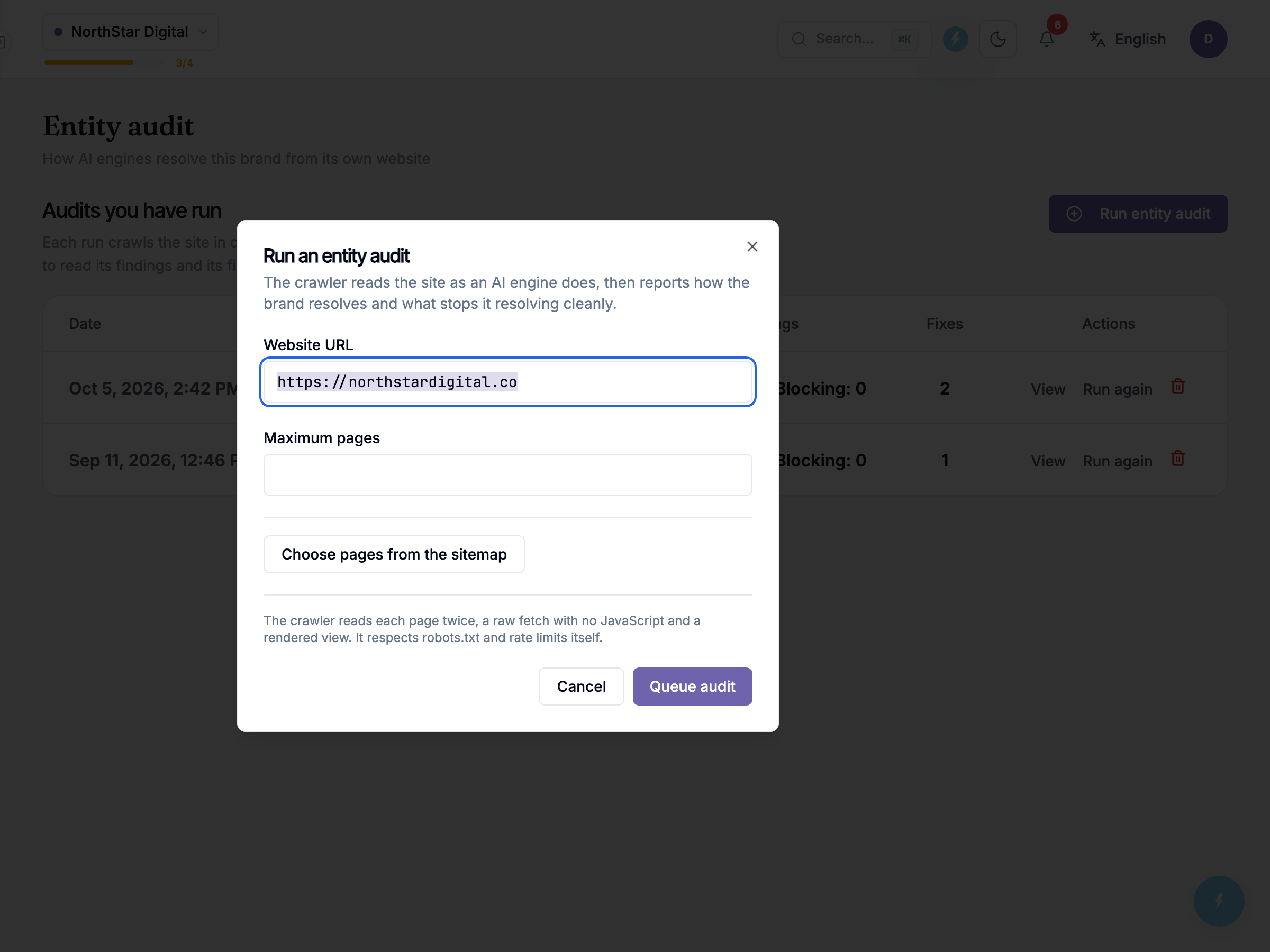 Run an entity audit modal open, Website URL prefilled, Maximum pages blank
