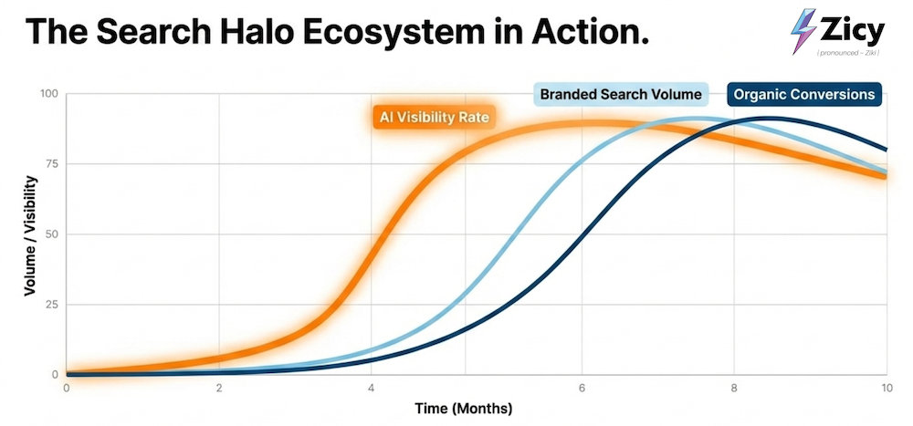 The Search Halo Ecosystem in Action